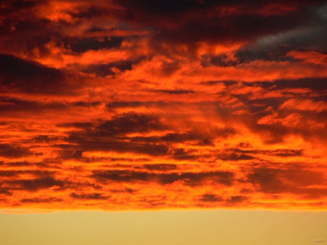 136- Le ciel flamboie 